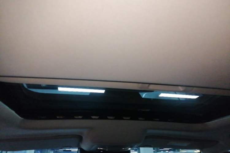 Used Tank 300 2023 Off-Road Edition 2.0T Conqueror Headliner