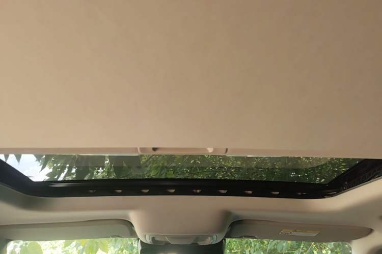Used Tank 300 2023 2.0T Iron Rider 02 Headliner