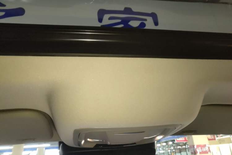 Used Tank 300 2023 City Edition 2.0T—Stylish as Ever Headliner