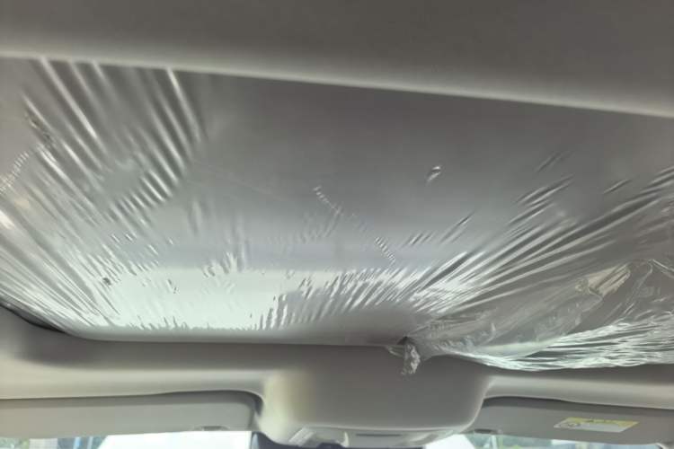 Used Tank 300 2023 City Edition 2.0T—Stylish as Ever Headliner