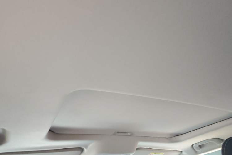 Used Tank 300 2023 2.0T Iron Rider 02 Headliner