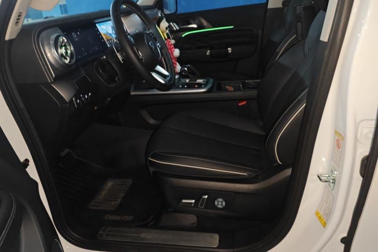 Used Tank 300 2023 City Edition 2.0T—Stylish as Ever Left Front Seat