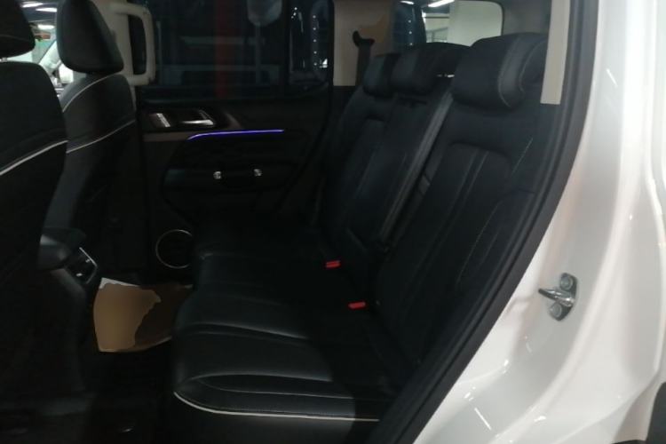 Used Tank 300 2023 Off-Road Edition 2.0T Conqueror Left Rear Seat