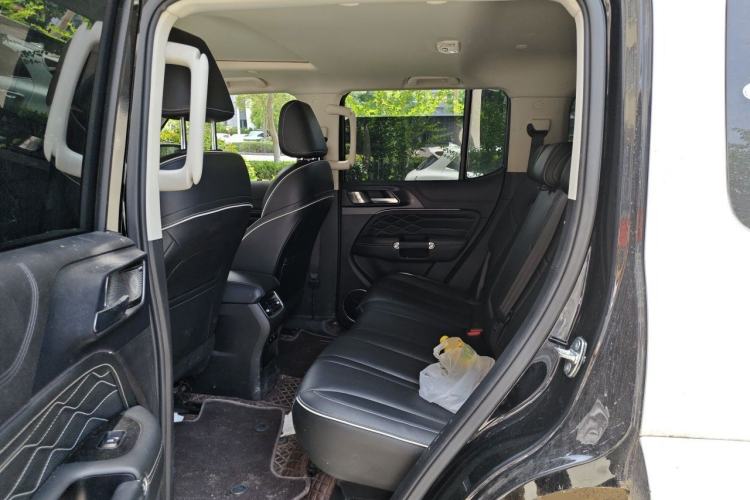 Used Tank 300 2023 City Edition 2.0T My Vision Model Left Rear Seat