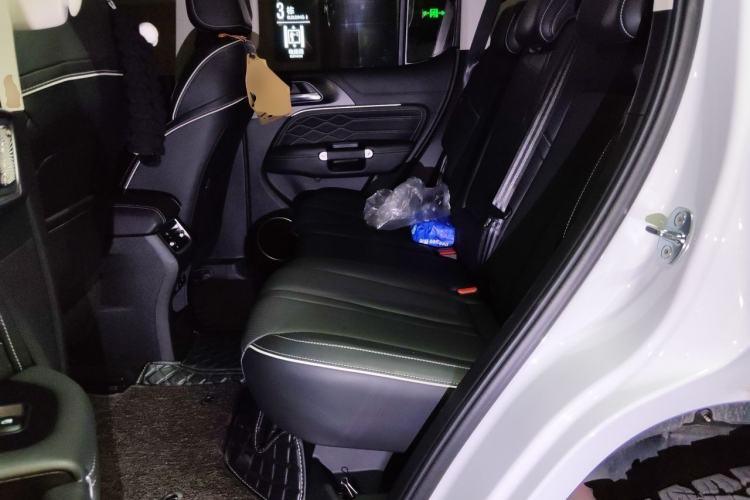 Used Tank 300 2023 2.0T Iron Rider 02 Left Rear Seat