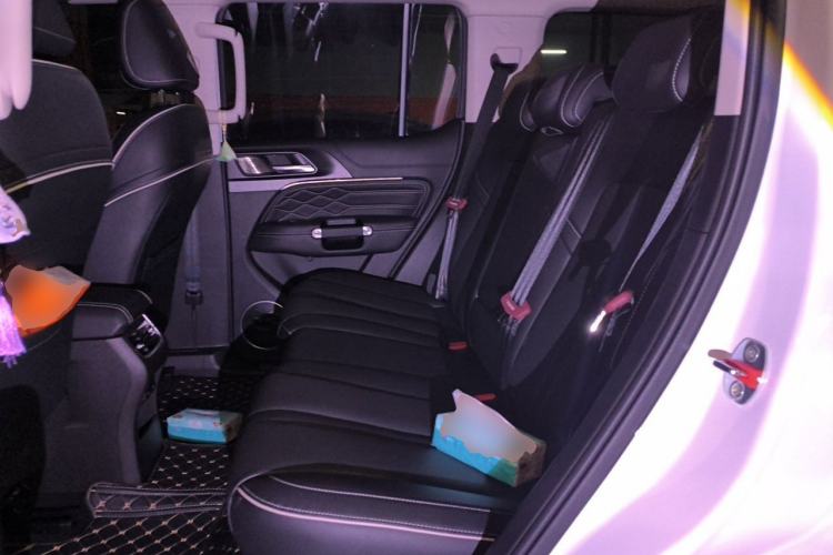Used Tank 300 2023 City Edition 2.0T—Stylish as Ever Left Rear Seat