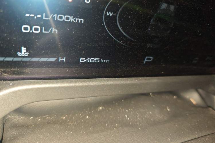 Used Tank 300 2023 2.0T Iron Rider 02 Odometer Close Up