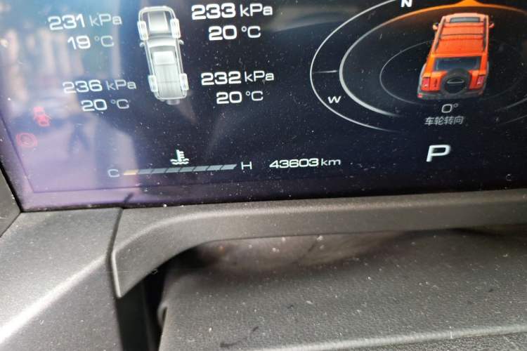 Used Tank 300 2023 2.0T Iron Rider 02 Odometer Close Up