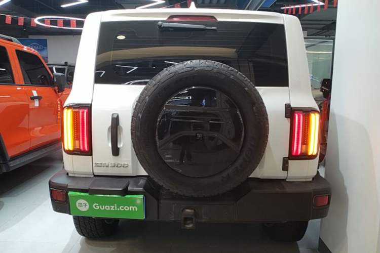 Used Tank 300 2023 Off-Road Edition 2.0T Conqueror Rear