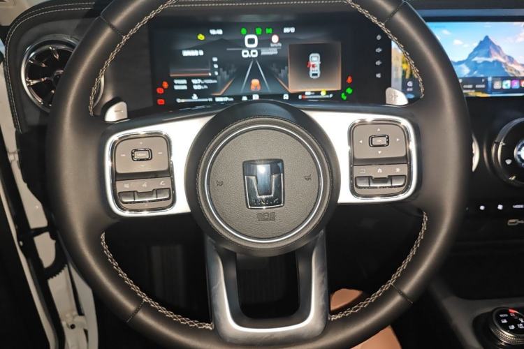 Used Tank 300 2023 City Edition 2.0T—Stylish as Ever Steering Wheel