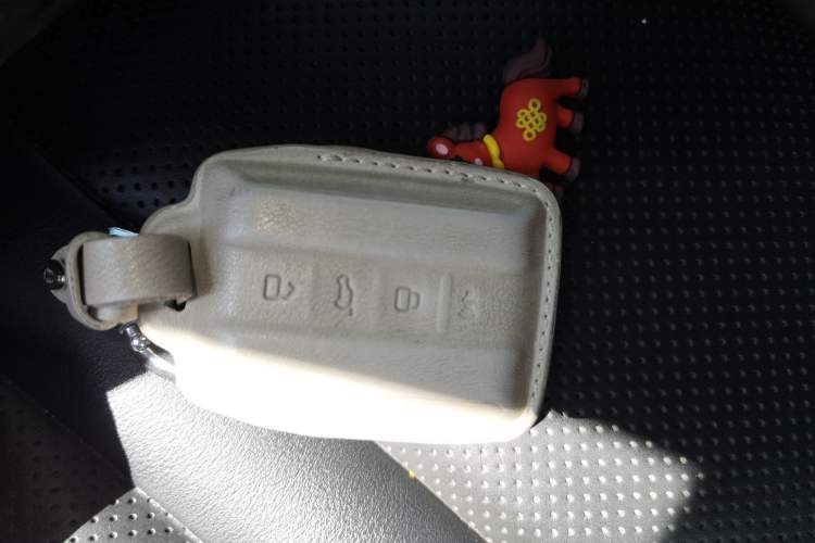 Used Tank 300 2023 Off-Road Edition 2.0T Conqueror Vehicle Key