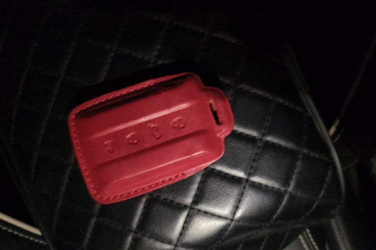 Used Tank 300 2023 2.0T Iron Rider 02 Vehicle Key