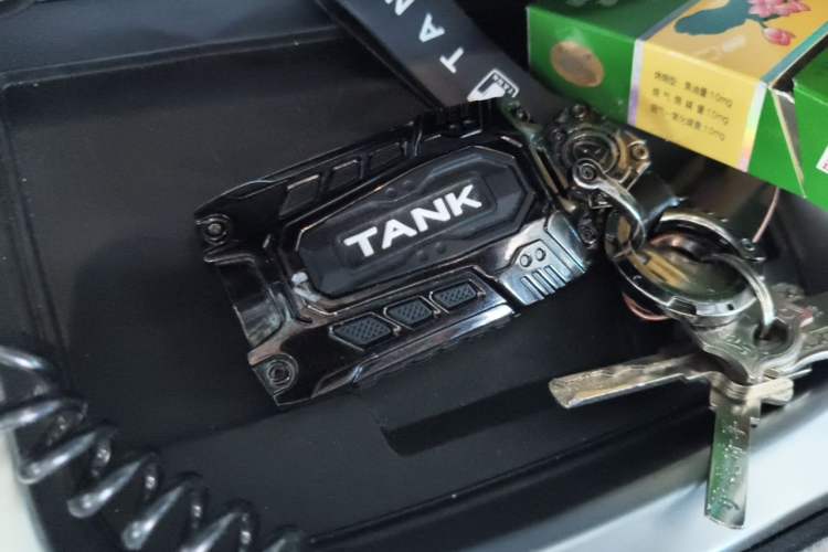 Used Tank 300 2023 2.0T Iron Rider 02 Vehicle Key