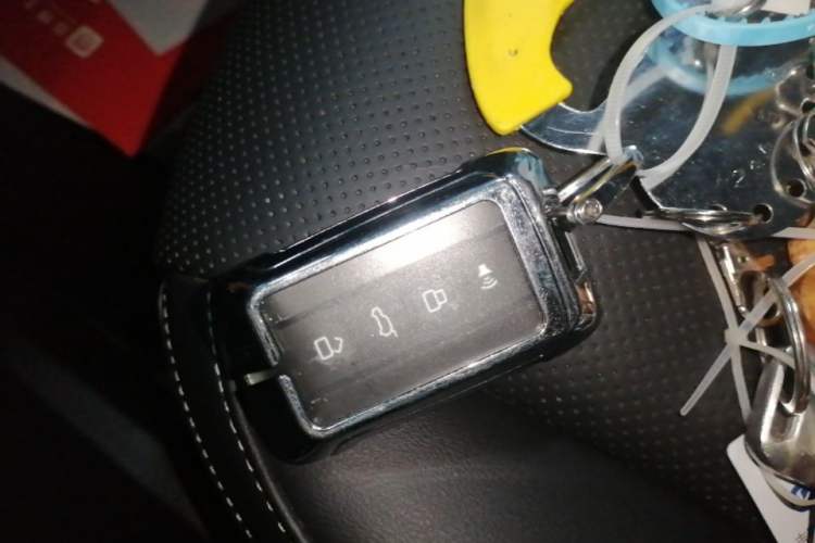 Used Tank 300 2023 Off-Road Edition 2.0T Conqueror Vehicle Key