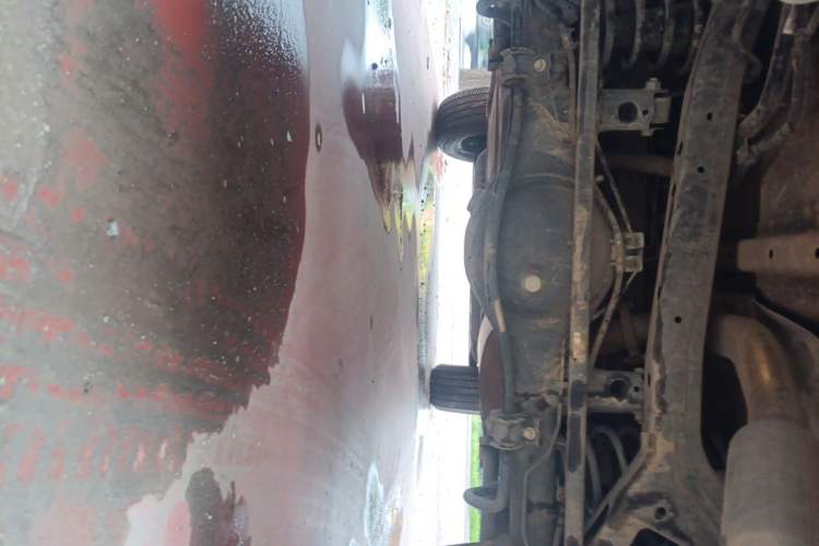 Used Tank 300 2023 City Edition 2.0T—Stylish as Ever Chassis Rear