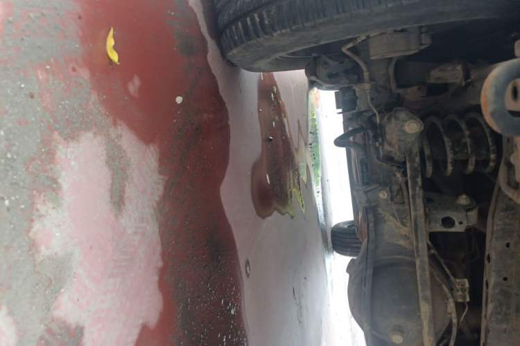 Used Tank 300 2023 City Edition 2.0T—Stylish as Ever Chassis Rear Left