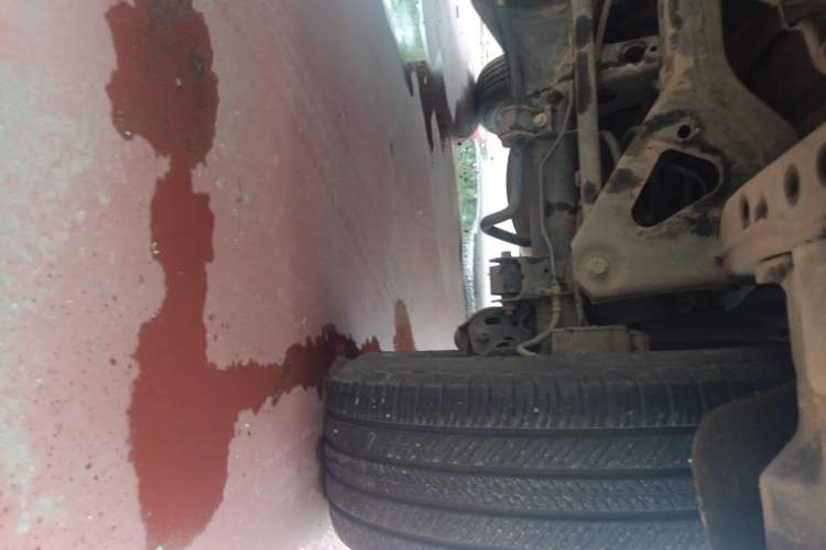 Used Tank 300 2023 City Edition 2.0T—Stylish as Ever Chassis Rear Right
