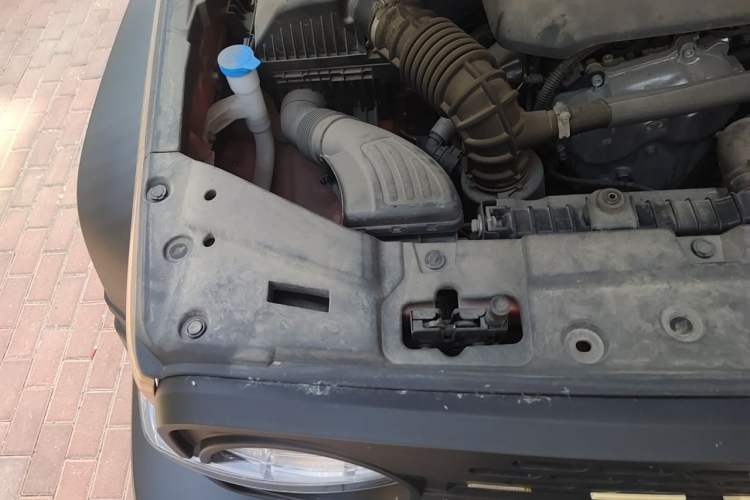 Used Tank 300 2023 Off-Road Edition 2.0T Conqueror Engine Bay Right