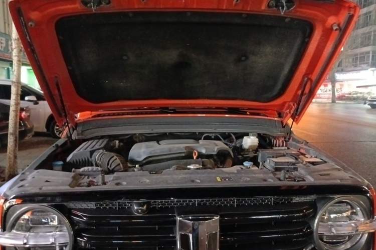 Used Tank 300 2023 Off-Road Edition 2.0T Conqueror Engine Bay