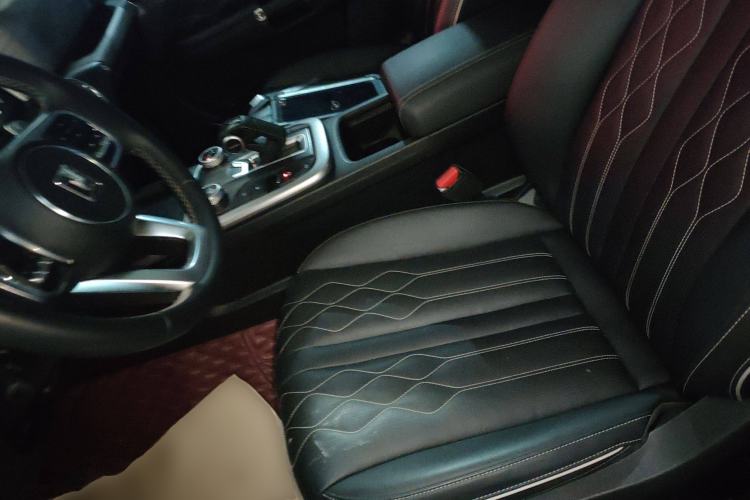 Used Tank 300 2023 Off-Road Edition 2.0T Challenger Left Front Seat