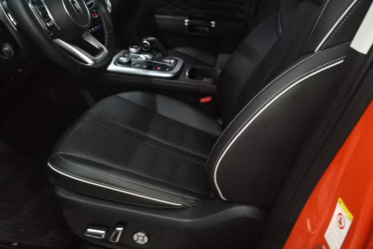 Used Tank 300 2023 City Edition 2.0T—Stylish as Ever Left Front Seat
