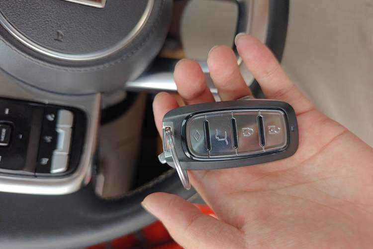 Used Tank 300 2023 City Edition 2.0T—Stylish as Ever Vehicle Key