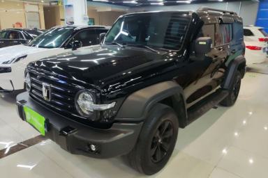 Used Tank 300 2024 2.0T Conqueror