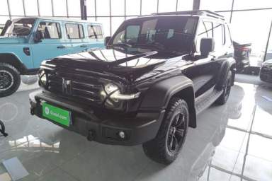 Used Tank 300 2024 2.0T Conqueror