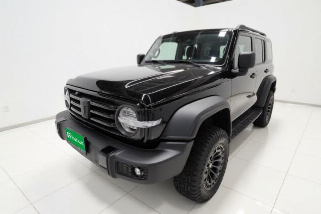 Used Tank 300 2024 2.0T Conqueror