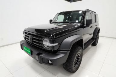 Used Tank 300 2024 2.0T Conqueror