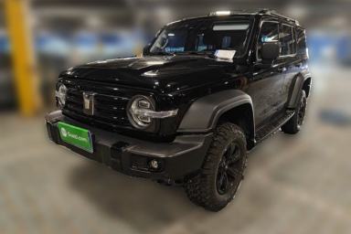 Used Tank 300 2024 2.0T Conqueror