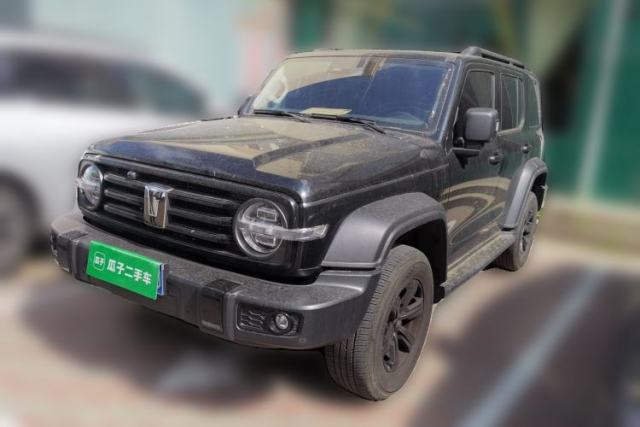 Used Tank 300 2024 2.0T Conqueror