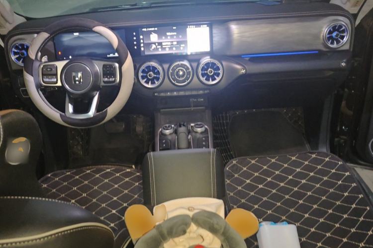 Used Tank 300 2024 2.0T Challenger Center Console
