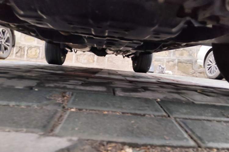 Used Tank 300 2024 2.0T Conqueror Chassis Front