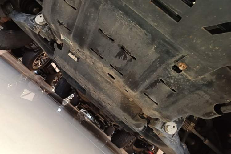 Used Tank 300 2024 2.0T Conqueror Chassis Front
