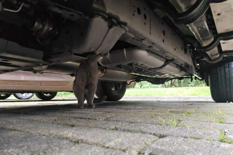 Used Tank 300 2024 2.0T Conqueror Chassis Rear Left