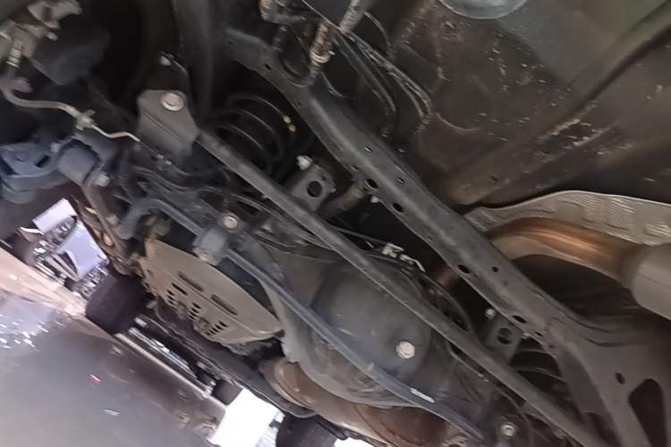 Used Tank 300 2024 2.0T Conqueror Chassis Rear