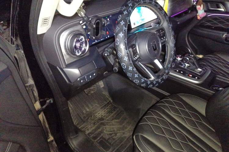 Used Tank 300 2024 2.0T Challenger Driver Seat
