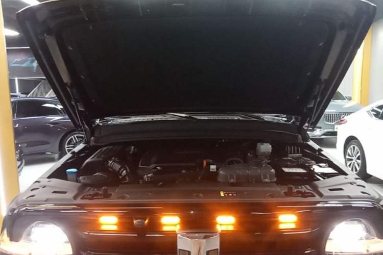 Used Tank 300 2024 2.0T Conqueror Engine Bay
