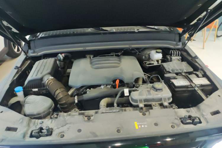 Used Tank 300 2024 2.0T Conqueror Engine Bay