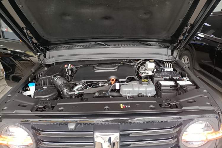 Used Tank 300 2024 2.0T Challenger Engine Bay