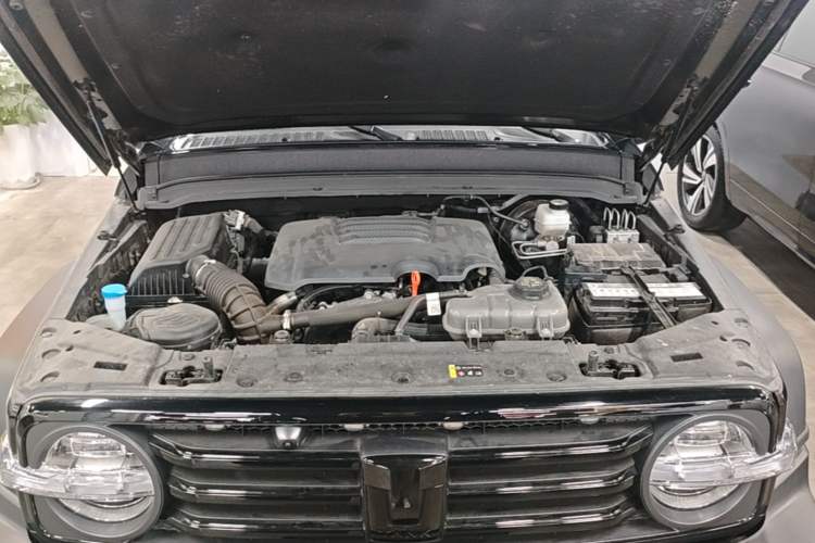 Used Tank 300 2024 2.0T Conqueror Engine Bay