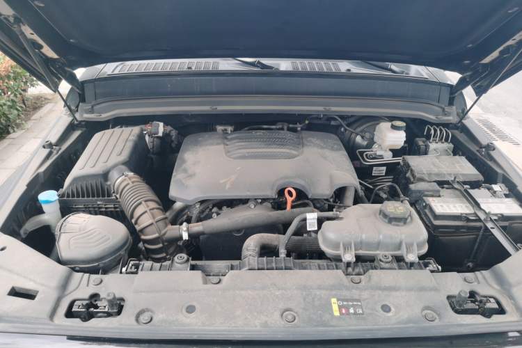 Used Tank 300 2024 2.0T Conqueror Engine Bay