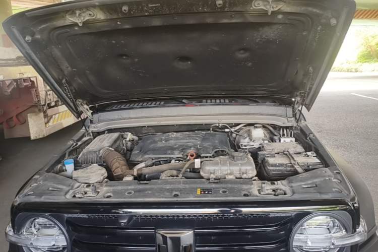 Used Tank 300 2024 2.0T Conqueror Engine Bay