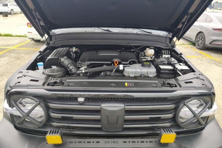 Used Tank 300 2024 2.0T Conqueror Engine Bay