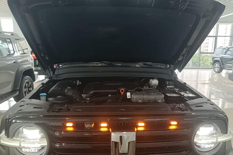 Used Tank 300 2024 2.0T Conqueror Engine Bay