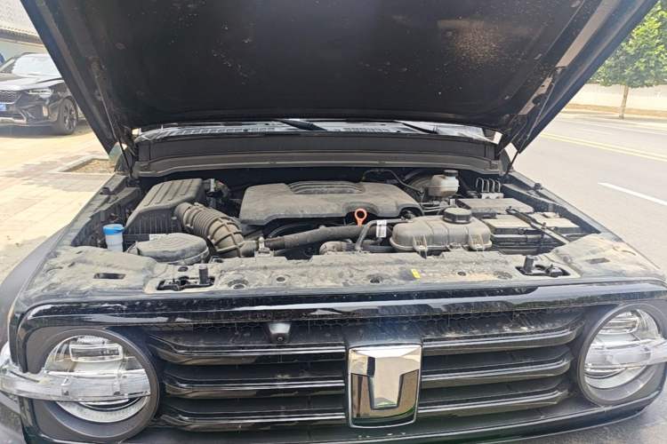 Used Tank 300 2024 2.0T Conqueror Engine Bay