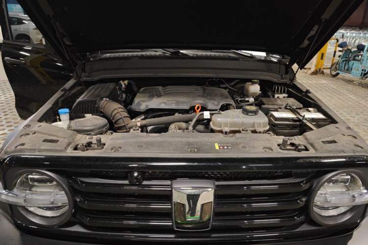 Used Tank 300 2024 2.0T Conqueror Engine Bay