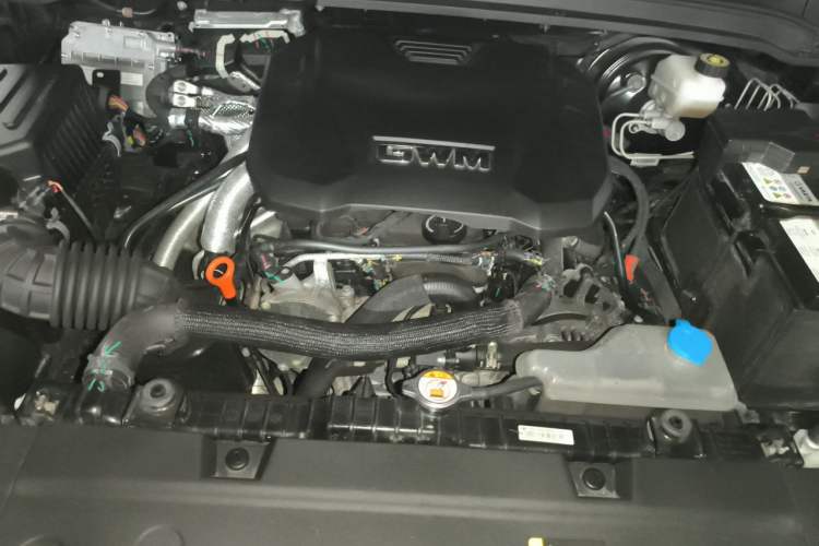 Used Tank 300 2024 2.0T Crosser Engine Bay