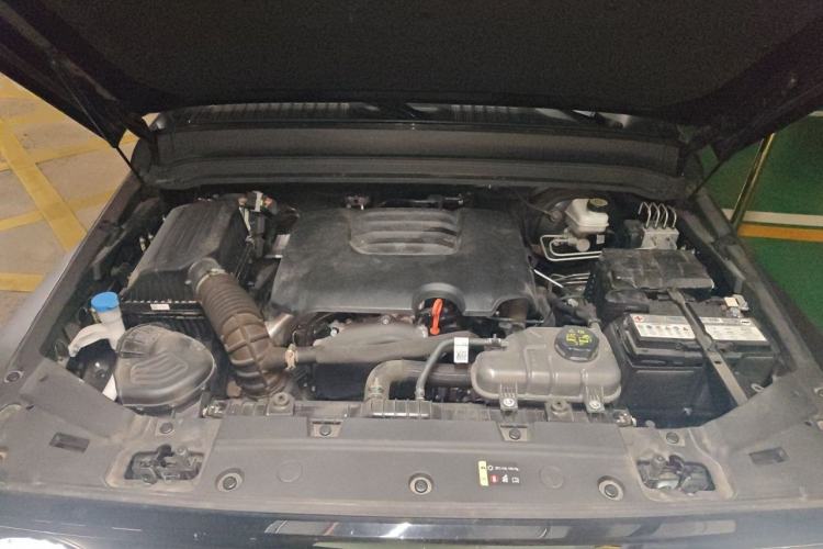 Used Tank 300 2024 2.0T Conqueror Engine Bay